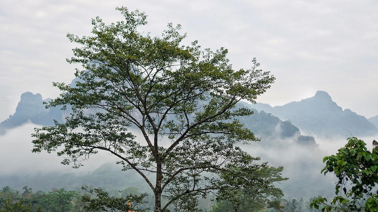 Khaowong Resort Пхангнга Экстерьер фото